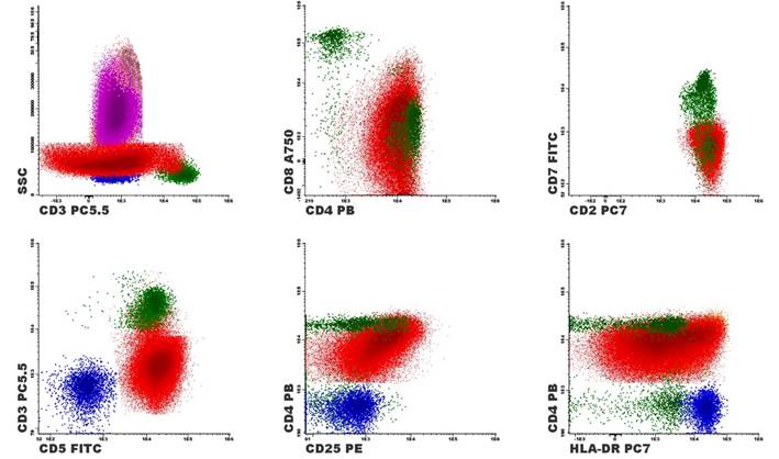 Gráfico, Gráfico de dispersión
Descripción generada automáticamente
