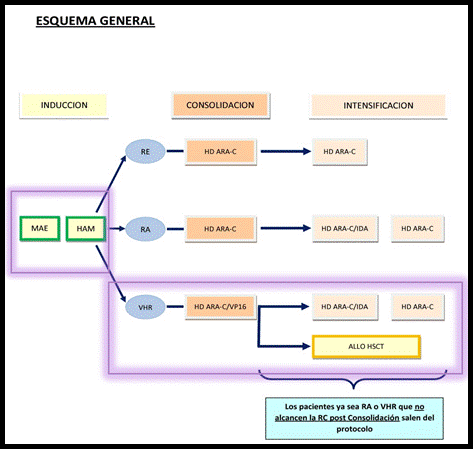 Diagrama
El contenido generado por IA puede ser incorrecto.